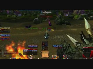 présentation de ronron le paladrood