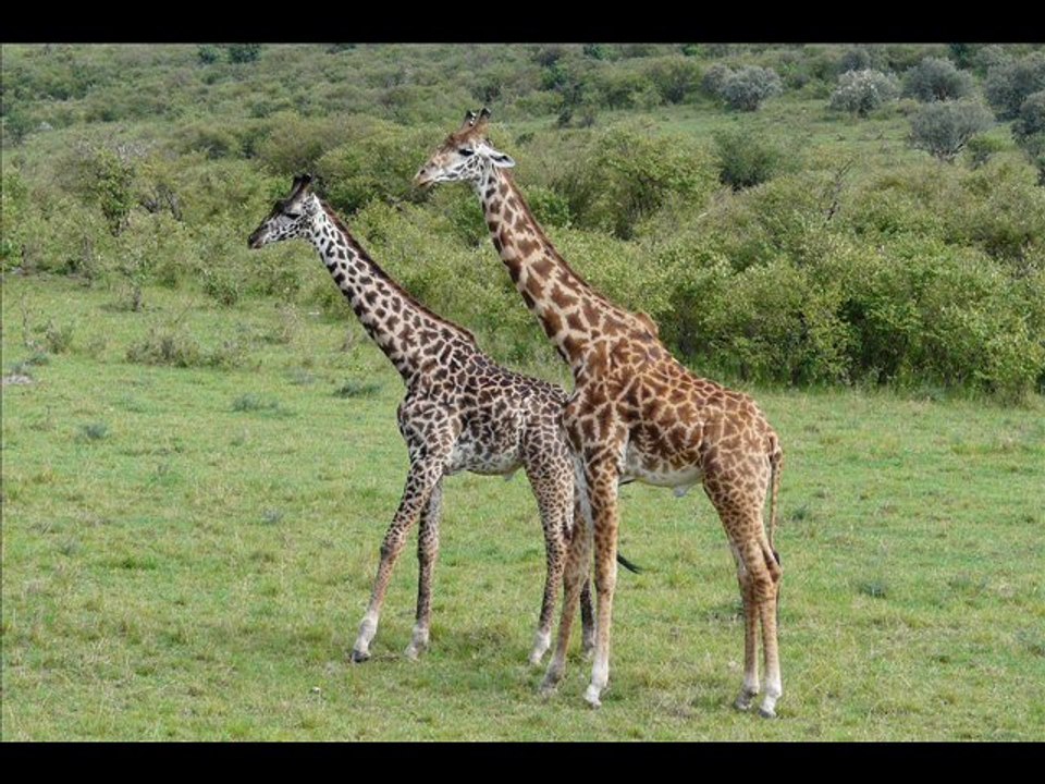 kenya2
