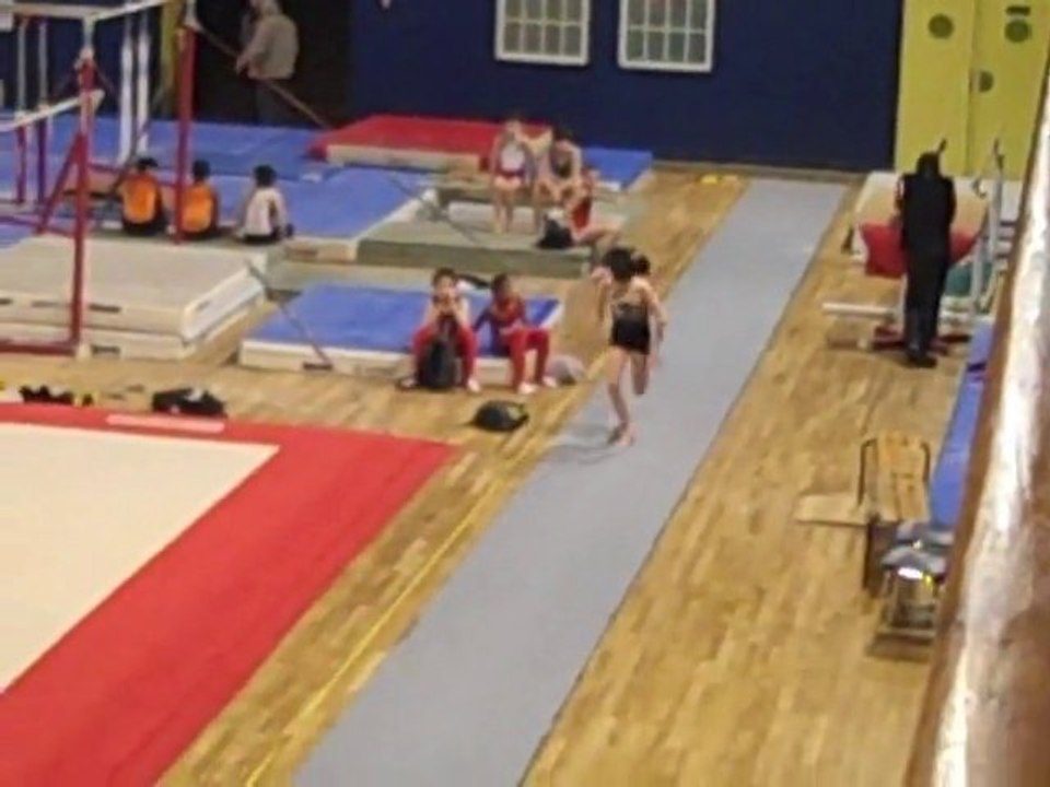 MathisParis2011