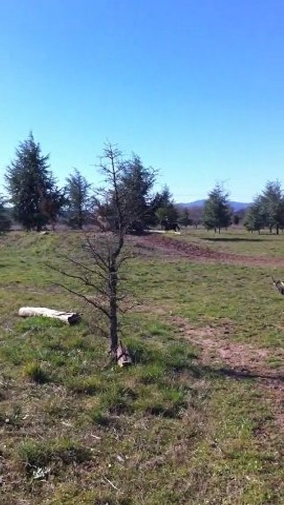 Quolibet entrainement cross Le pouget Février 2011