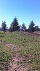 Tif & Port , Valy & Noisette entrainement cross Le pouget