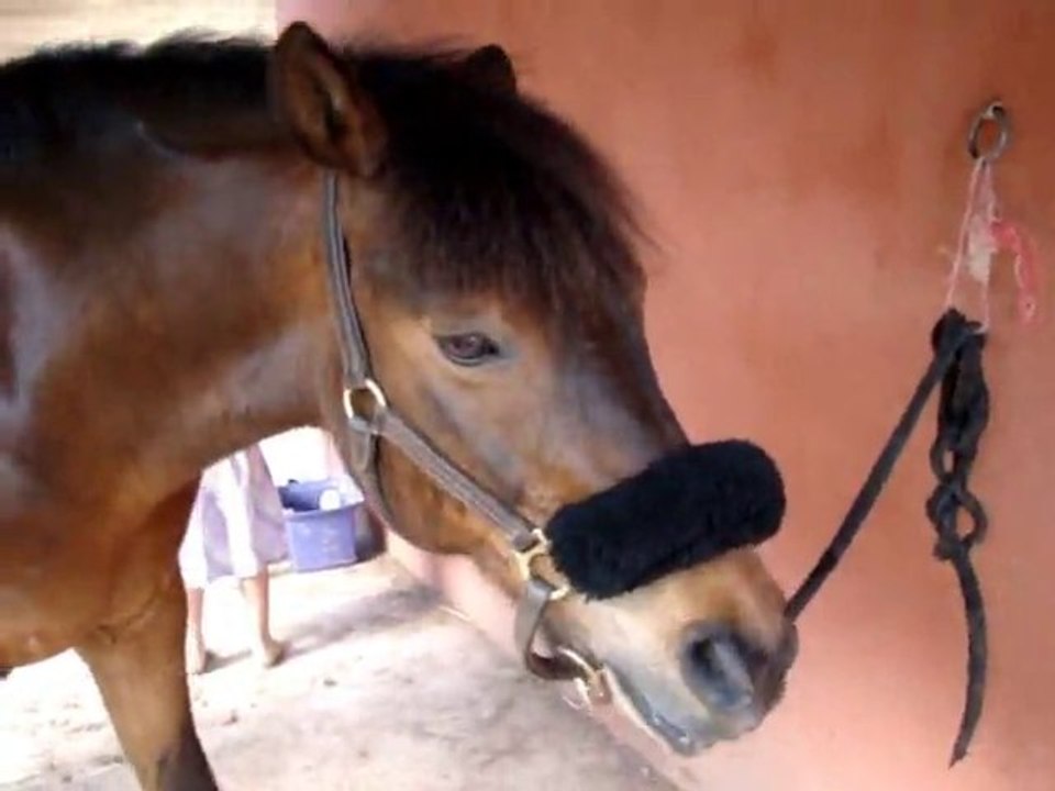 Mon petit bonheur