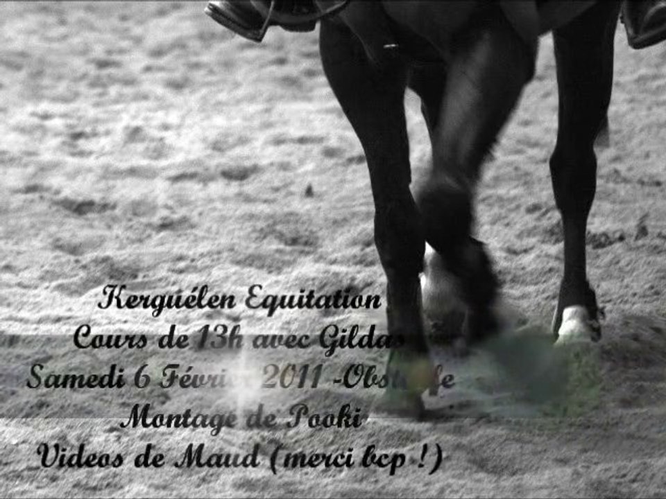 Kerguélen - Samedi 5 Février 2011 - 13h