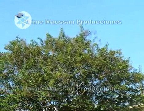 UFO Photographed In Houston USA - Mauricio Ruiz