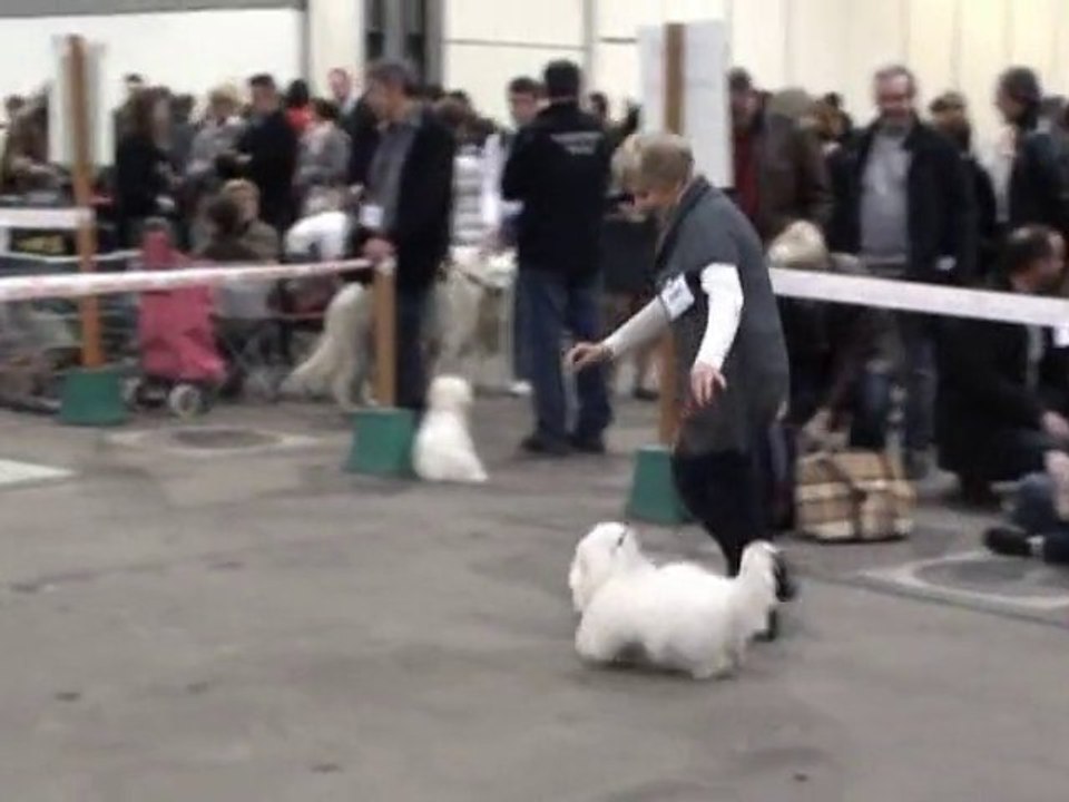 Troyes 2011 Inter femelles