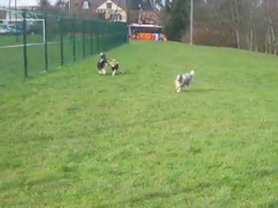 concours le pins 018