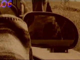 Rado Shisharkata - Beli ptici