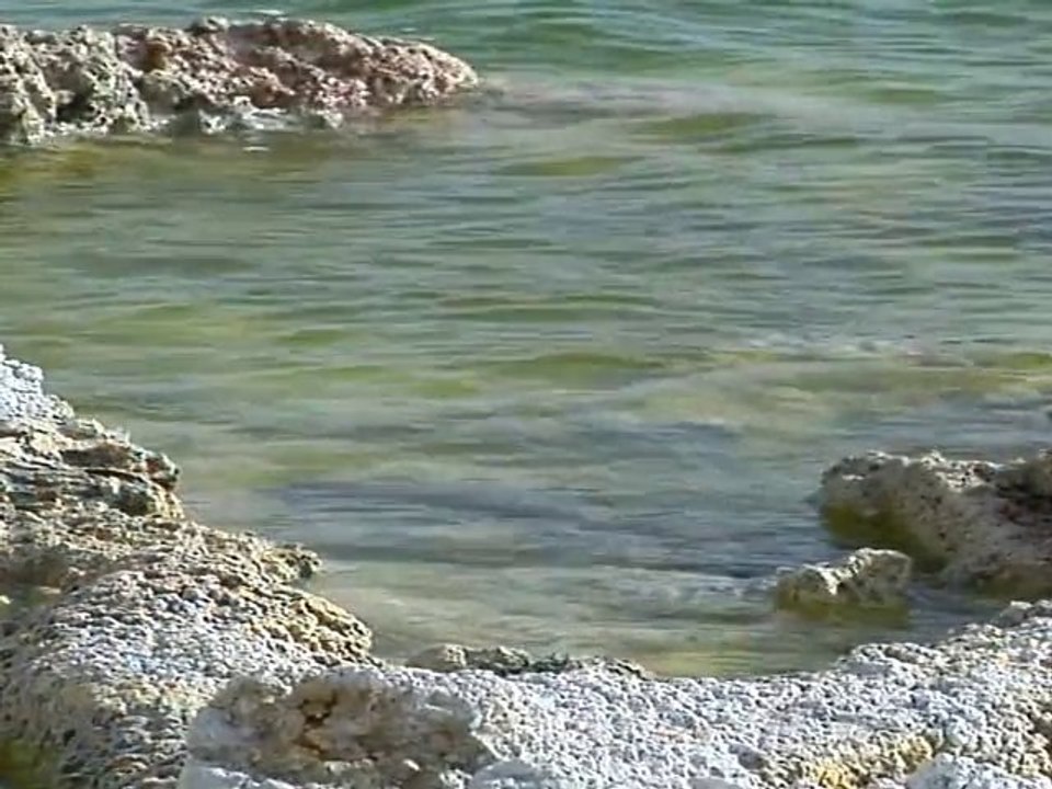 Stress Relief - Mono Lake