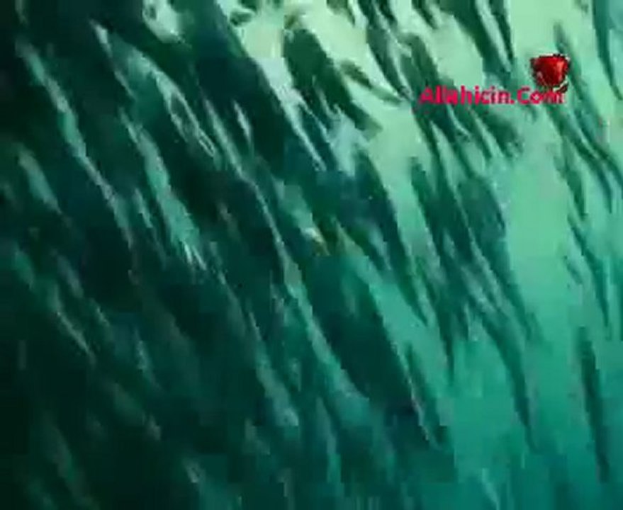 Büyük balık küçük balığı yutarmış