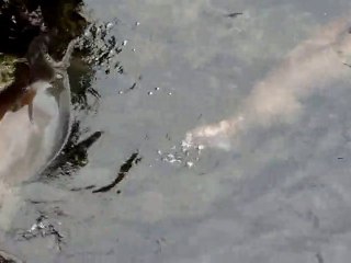Galapagos - Baltra Island Jetty