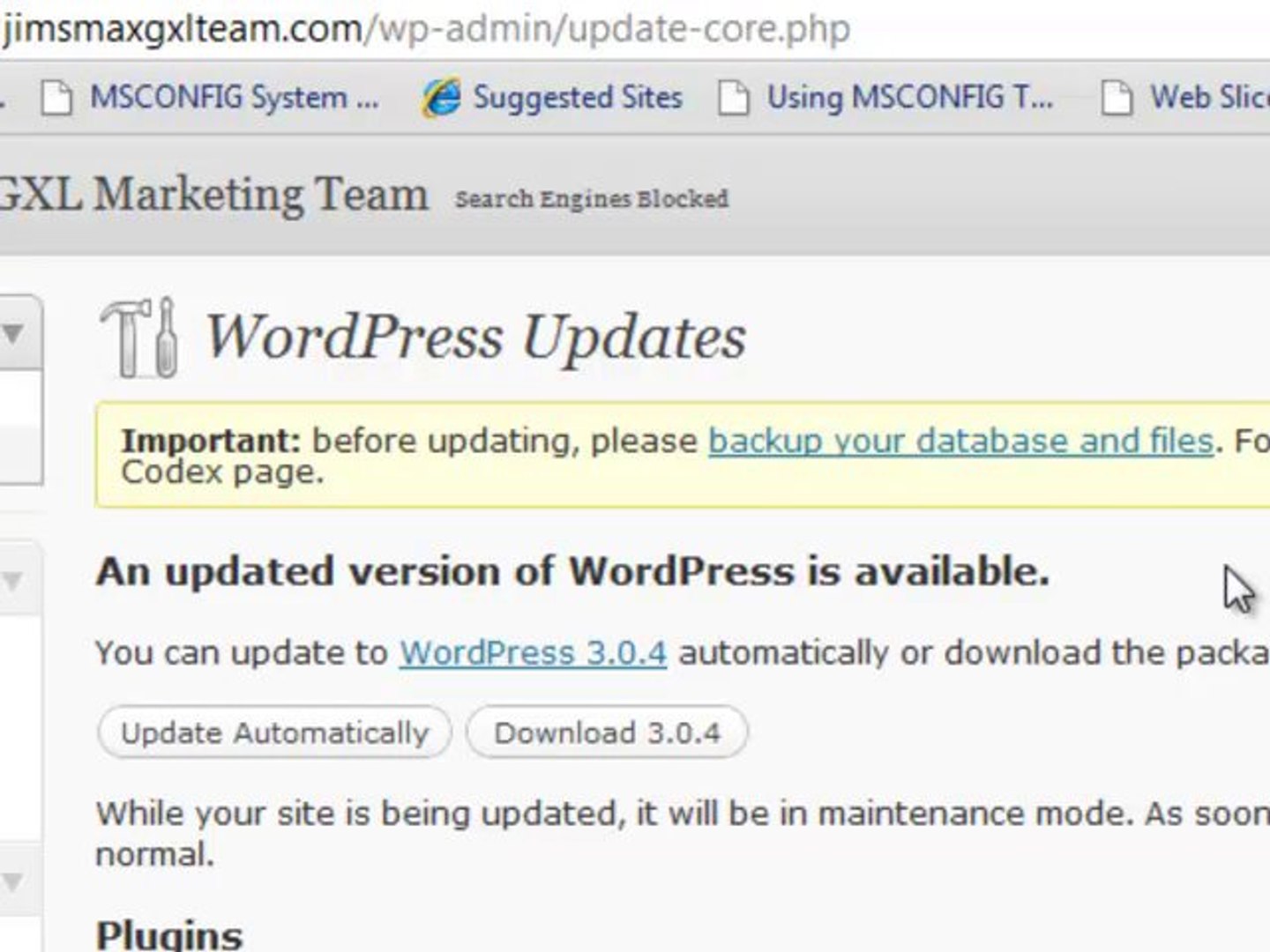 ⁣Update to WordPress 3.0.5 IMPORTANT Security Update