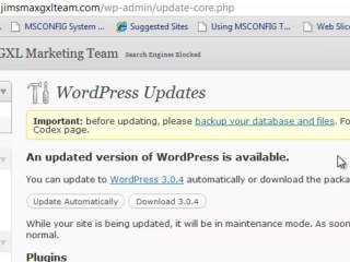 Update to WordPress 3.0.5 IMPORTANT Security Update