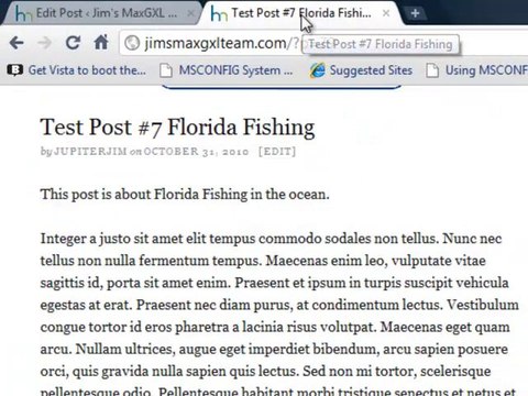 Categories & Tags in WordPress 3.0.1 or later