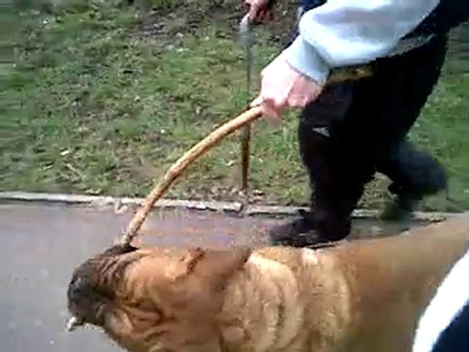 VID 00021-20110206-1209