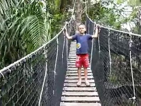 Dans les arbres à 20m de haut