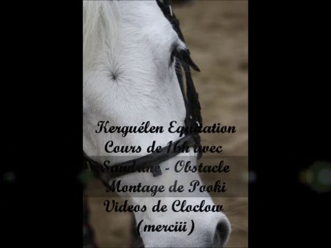 Kerguélen - Samedi 5 Février 2011 - 16h