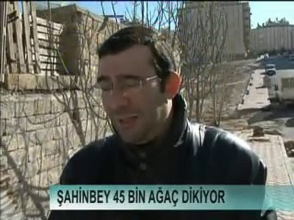 6-ŞAHINBEY AĞAÇ