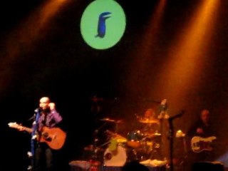 4 - Les oiseaux dans les grands magasins