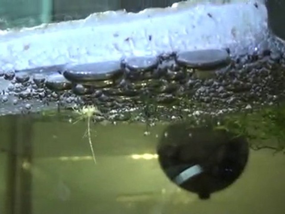 20110111014318