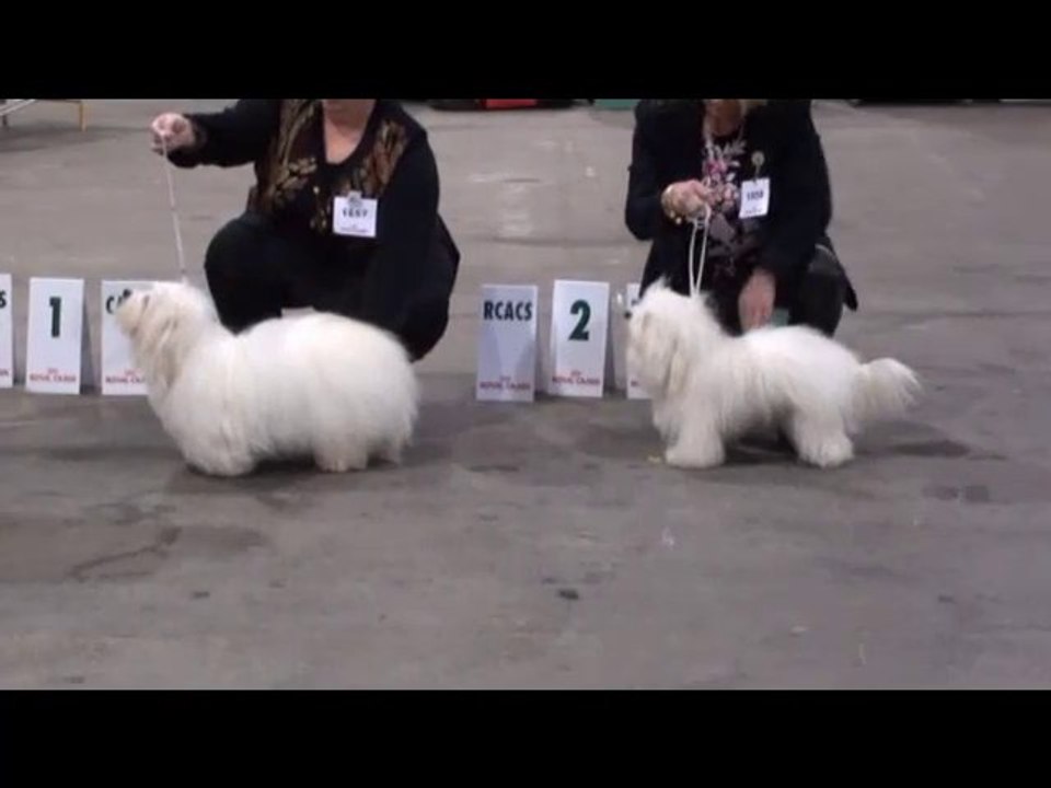 Troyes 2011 Ouverte mâles