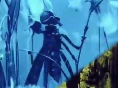 Les fables de Starewitch - Bande annonce