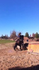 Quolibet & Moi Combi du Gué Le pouget 2011