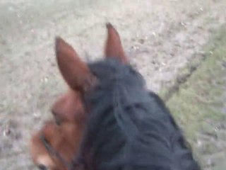 05.02.2011  Ténébra