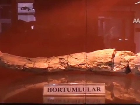 TÜRKİYE'NİN İLK ''FOSİL MÜZESİ''