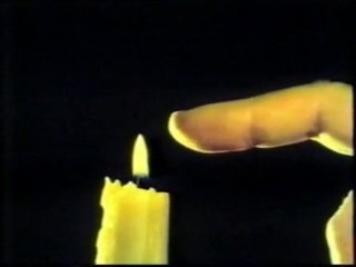 Sistema nervioso: Los reflejos