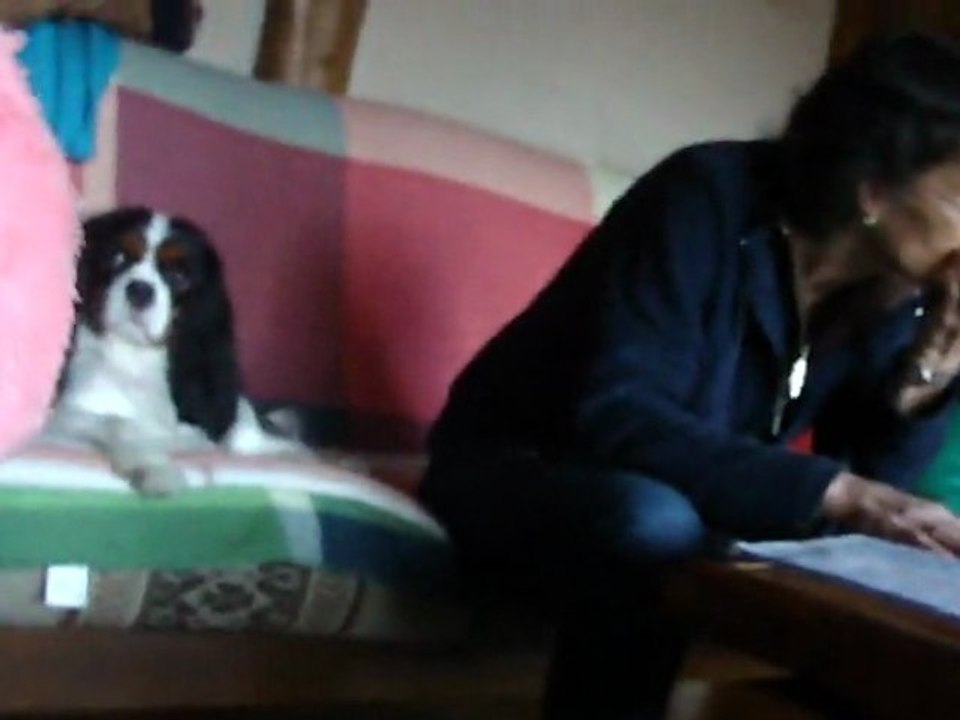caline que fait la folle avec naguy