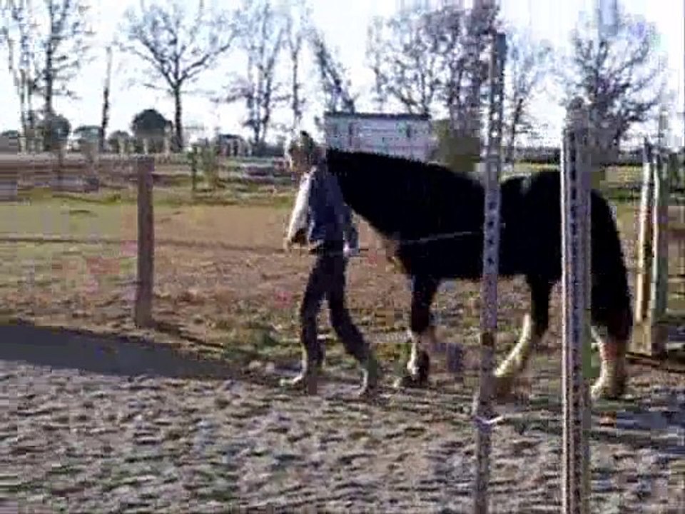 Defis n°2.