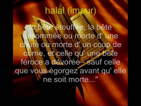 Kasher Casher Kosher (Pur) VS halal (impur)