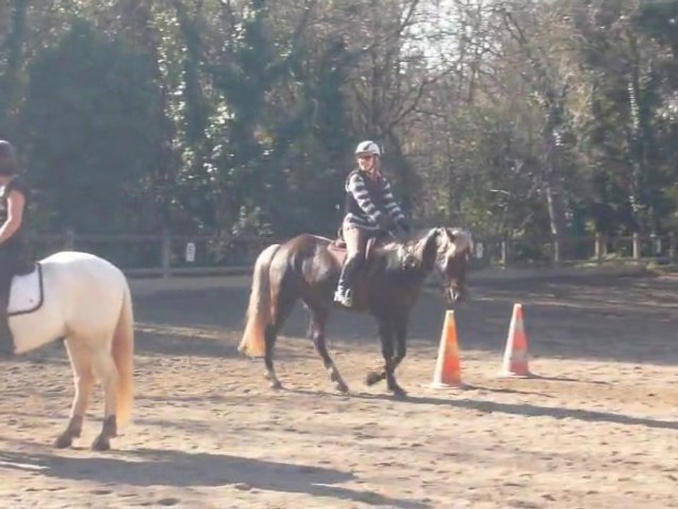 Silver Sam et moi