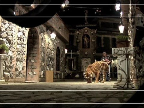 Video-diario 4 “Cuore di clown” di Paolo Zucca - perFiducia