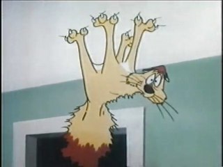 Mačak Klod – Novi ljubimac