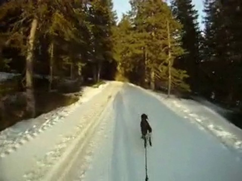 ski-joering