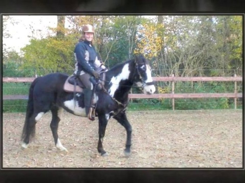 Reiten mit dem Westernsattel - Herbst 2010
