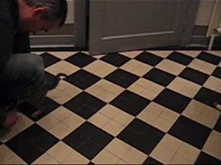 Fischer le chaton qui rapporte ce qu'on lui lance !