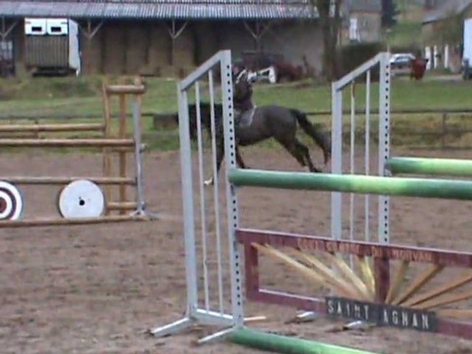 obstacle cheval de CSO