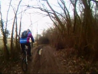2nd Lendemain de Galette des Cochons du Village 2011-01-30