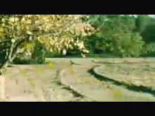 Benden seni anlatmamı isteselerdi