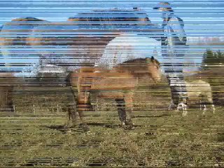 Junon travail/jeux hiver