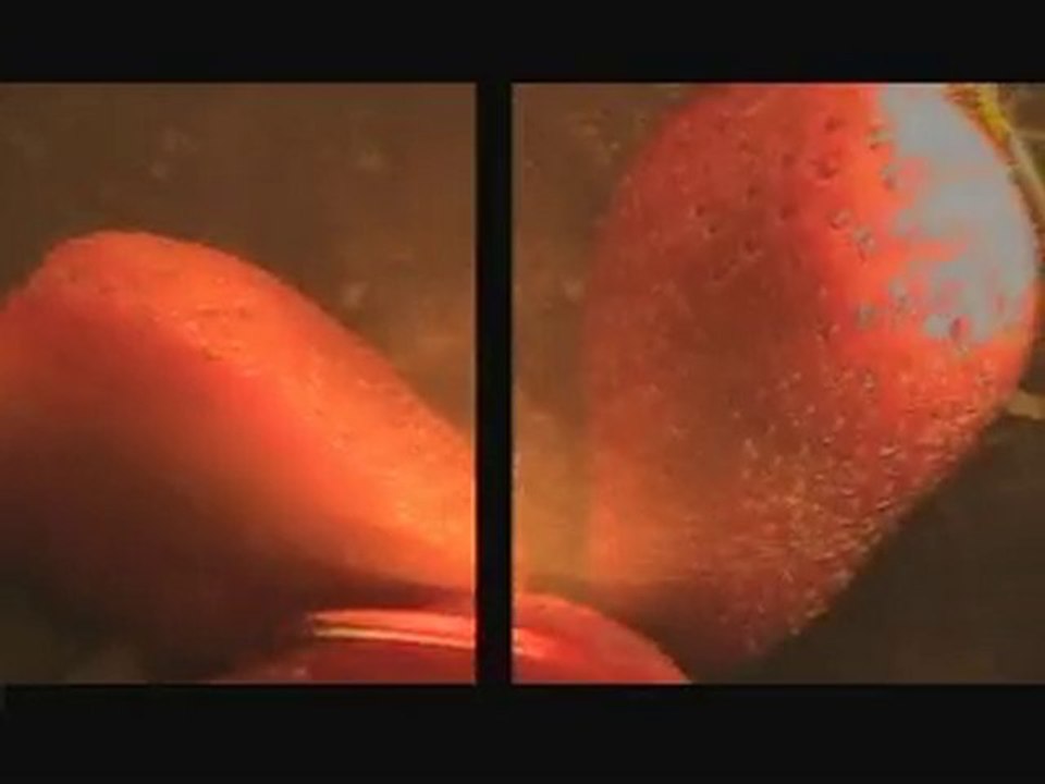 Reel 2009