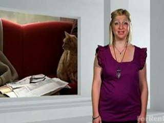 Top 10 Handy Tips for a New Pet - ForRent.com