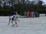 Sissi - Concours JCH Auvers 2011