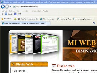 Diseño de paginas web... Evita el flash...