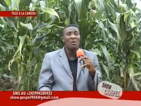 biographie de l'artiste paul KALONDA