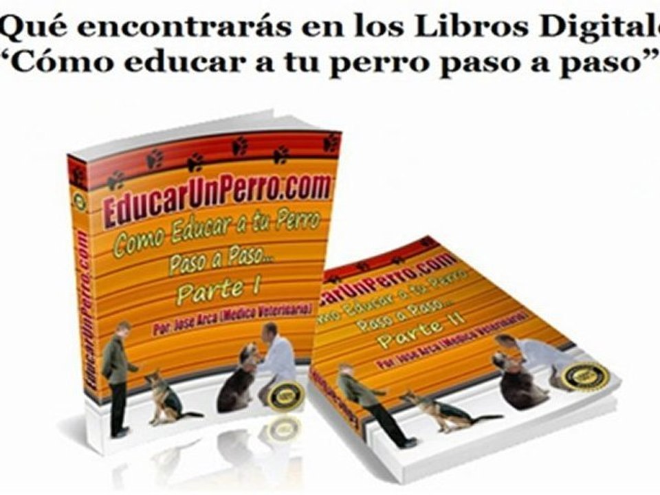 Entrenar a mi perro
