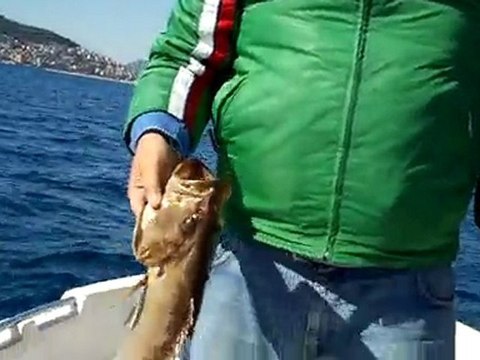 Alanya jigging grida avı 08 şubat 2011