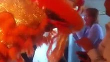 Vid1